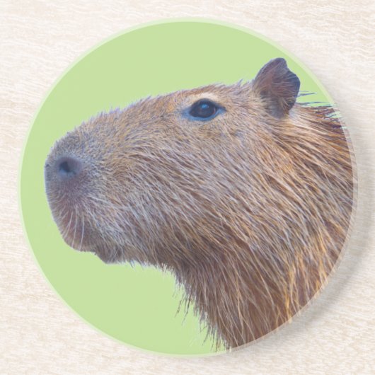 Capybara Getränkeuntersetzer (Vorne)