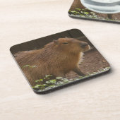 Capybara Getränkeuntersetzer (Linke Seite)