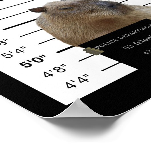 Capybara Gewollt Mugshot Capybara Meme Poster (Ecke)
