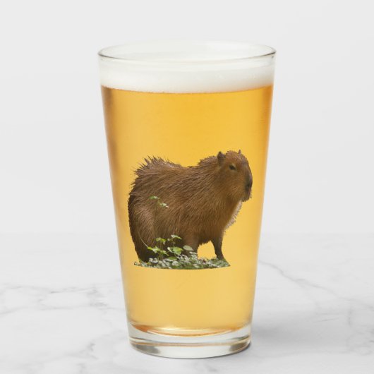 Capybara Glas (Vorne (Gefüllt))