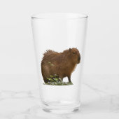 Capybara Glas (Vorderseite)