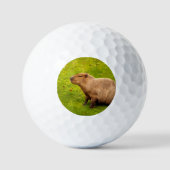Capybara Golfball (Vorderseite)