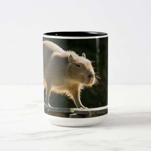 Capybara-große Tasse (Mittel)