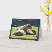 Capybara-Gruß-Karte - Capy Geburtstag Karte (Gelbe Blume)