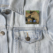 Capybara, Hydrochaeris hydrochaeris), Welts Button (Beispiel)