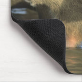 Capybara, Hydrochaeris hydrochaeris), weltweit Mousepad (Ecke)