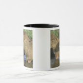Capybara, Hydrochaeris hydrochaeris), weltweit Tasse (Zentrum)