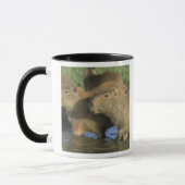 Capybara, Hydrochaeris hydrochaeris), weltweit Tasse (Links)