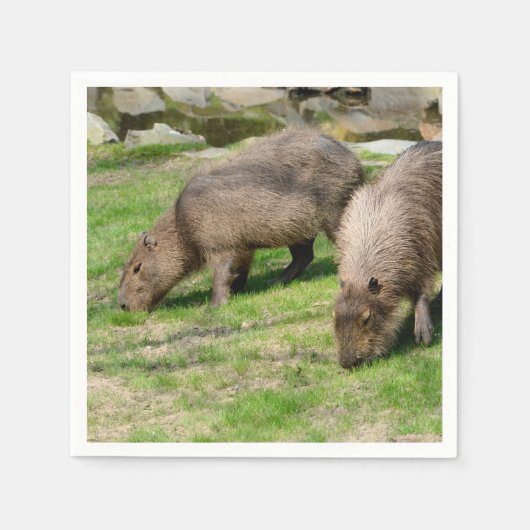 Capybara hydrochaeris serviette (Vorderseite)