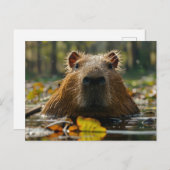 Capybara im Herbst Postkarte (Vorne/Hinten)