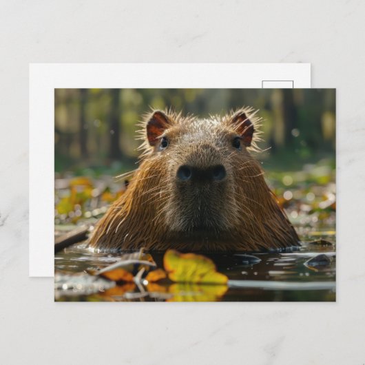 Capybara im Herbst Postkarte (Vorne/Hinten)