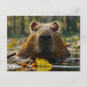 Capybara im Herbst Postkarte (Vorderseite)