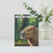 Capybara im Manu-Nationalpark Peru Postkarte (Stehend Vorderseite)