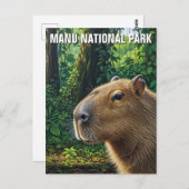 Capybara im Manu-Nationalpark Peru Postkarte (Vorne/Hinten)