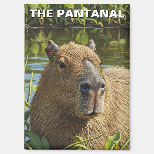 Capybara im Pantanal Magnet