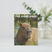 Capybara im Pantanal Postkarte (Stehend Vorderseite)