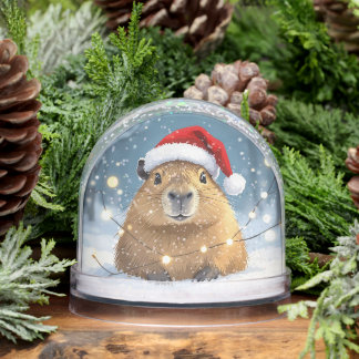 Capybara in der Weihnachtsmannmütze Weihnachtsschn Schneekugeln