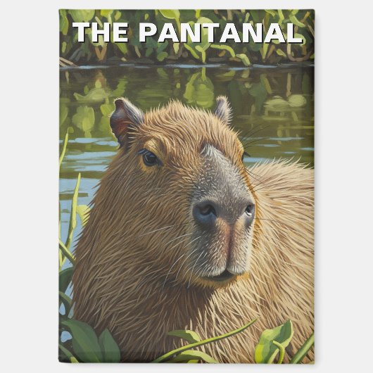 Capybara in The Pantanal Magnet (Vorderseite)