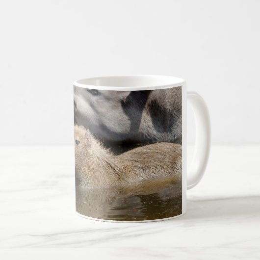 Capybara in Wasser Kaffeetasse (VorderseiteRechts)