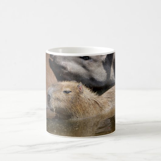Capybara in Wasser Kaffeetasse (Mittel)