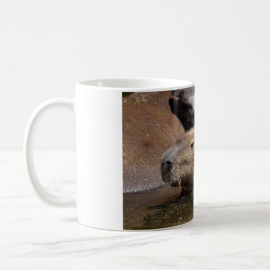 Capybara in Wasser Kaffeetasse (Links)