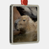 Capybara in Wasser Ornament Aus Metall (Rechts)