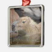 Capybara in Wasser Ornament Aus Metall (Links)