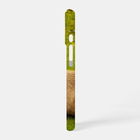 Capybara iPhone 16 Hülle (Linke Seite)