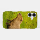 Capybara iPhone 16 Hülle (Rückseite (Horizontal))
