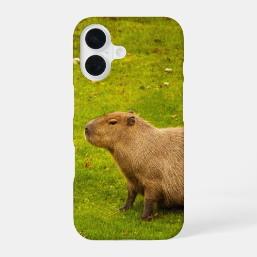 Capybara iPhone 16 Hülle (Rückseite)