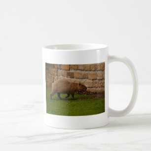 Capybara Kaffeetasse
