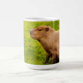 Capybara Kaffeetasse (Mittel)