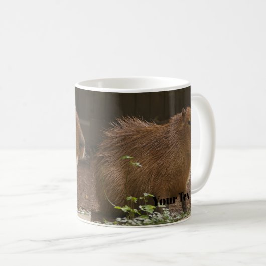 Capybara Kaffeetasse (VorderseiteRechts)