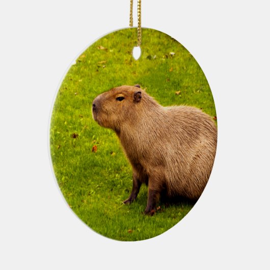 Capybara Keramik Ornament (Rechts)