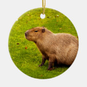 Capybara Keramik Ornament (Vorne)