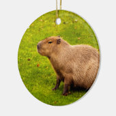 Capybara Keramik Ornament (Links)