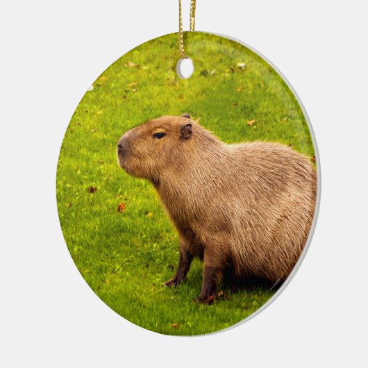 Capybara Keramik Ornament (Links)