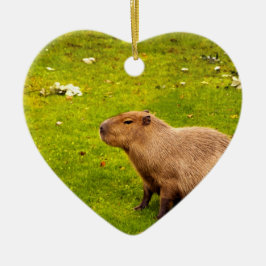 Capybara Keramik Ornament