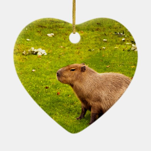 Capybara Keramik Ornament (Hinten)
