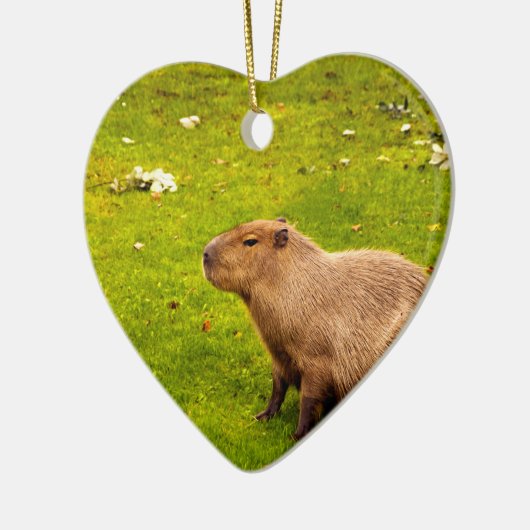 Capybara Keramik Ornament (Links)