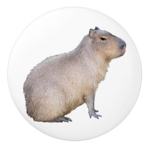 Capybara Keramikknauf
