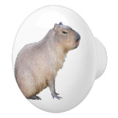 Capybara Keramikknauf (Rechts)
