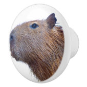 Capybara Keramikknauf (Rechts)