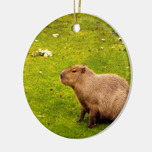 Capybara Keramikornament (Links)