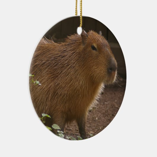 Capybara Keramikornament (Rechts)
