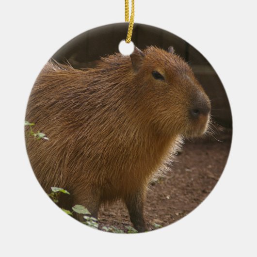 Capybara Keramikornament (Vorne)