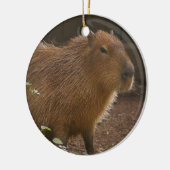 Capybara Keramikornament (Links)