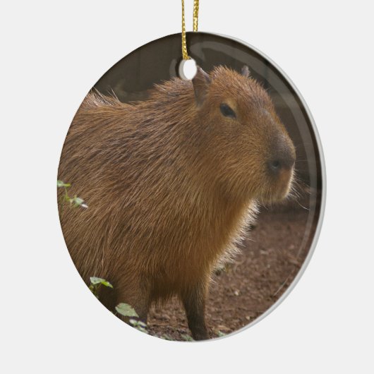 Capybara Keramikornament (Links)