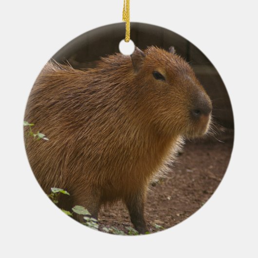 Capybara Keramikornament (Hinten)