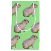 Capybara Kleine Geschenktüte (Vorderseite)